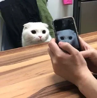 🌝