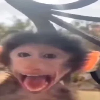 😱