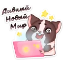 💻