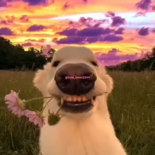😁