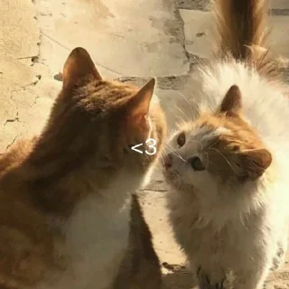 ❤️