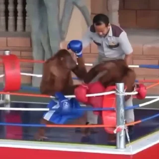 👊