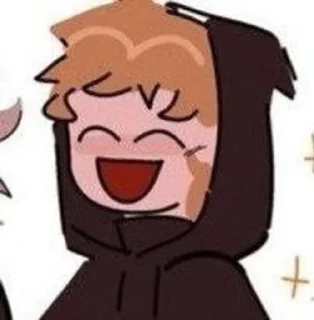 🌟