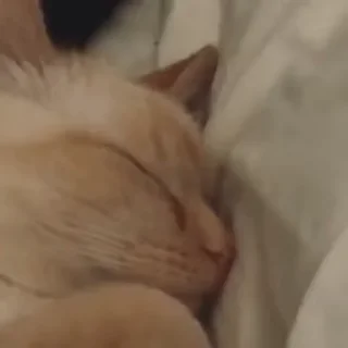 🥱