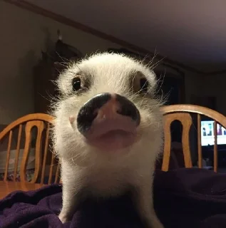 😋
