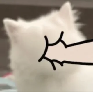👊