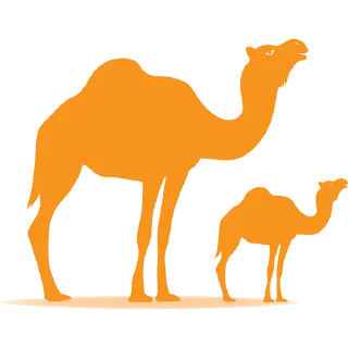 🐪