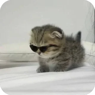 😎