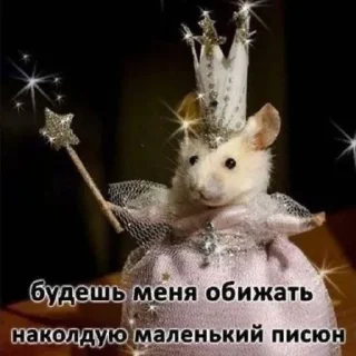 😂
