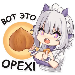 🌰
