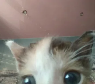 😶