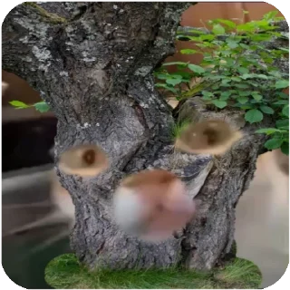 🌳
