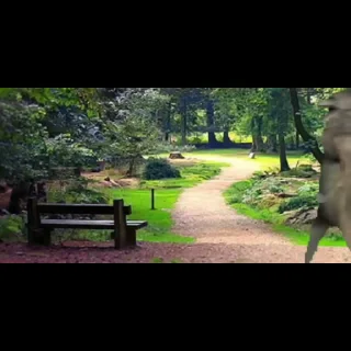 🐺