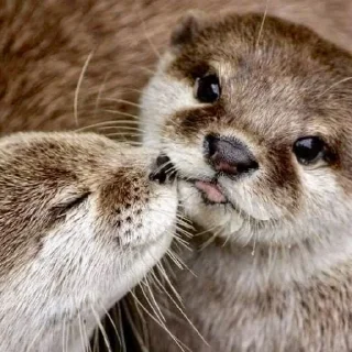 😗