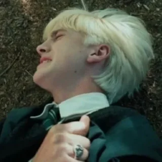 🐍