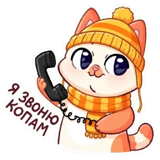 📞