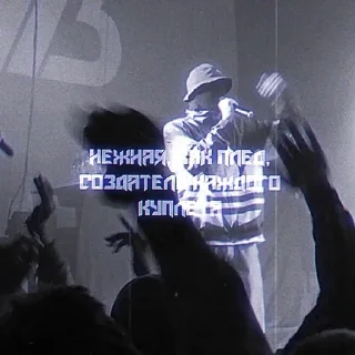 🤍