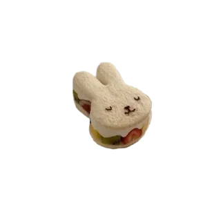🐰