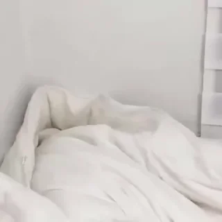🎈