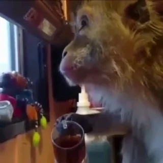 ☕️