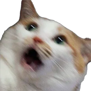 😮
