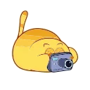 📸
