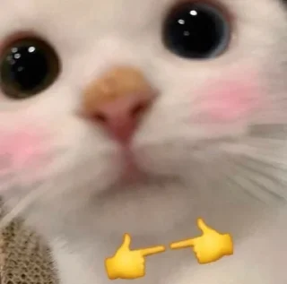 👉