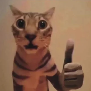 😳