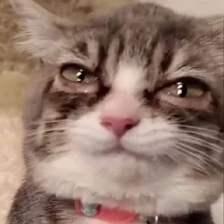 😭
