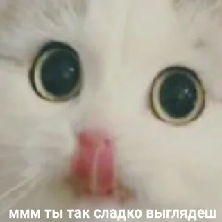 😝