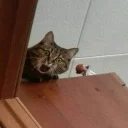 😱