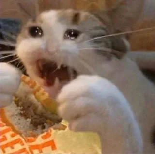 😭