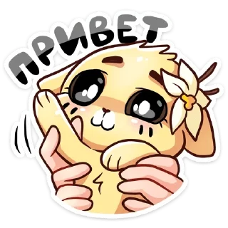 👋