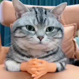 💕