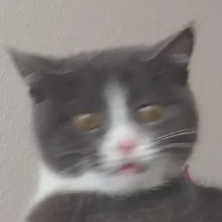 🤤
