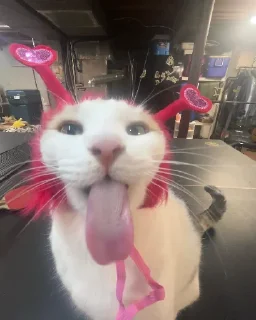 😛
