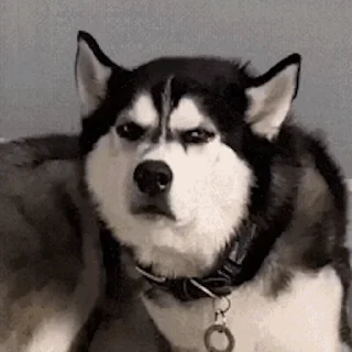 😠