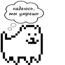 😼