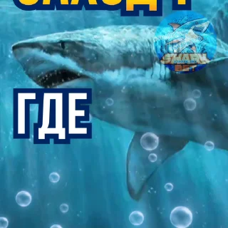 🧐