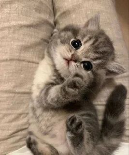 😊