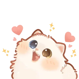 мур мур ня