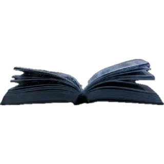 📖