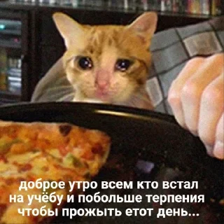 😥