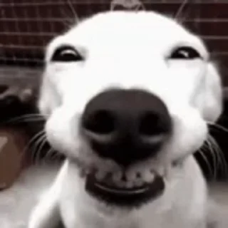 😁