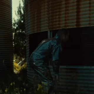 🥩