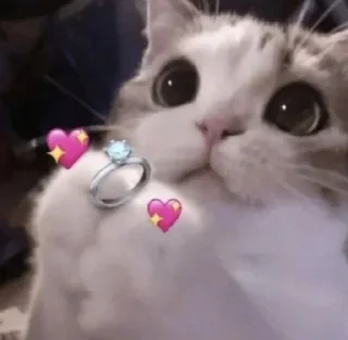 💍