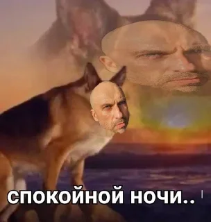 🥱