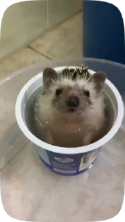 😶
