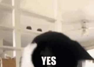 👍