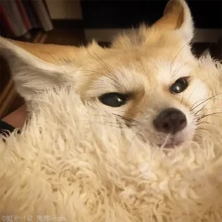 😑